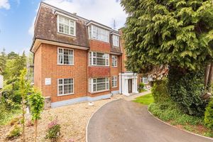 Photo 1- click for photo gallery